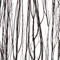 thicket raven | 3form